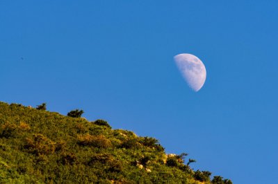 好听的古诗词（盘点古代诗人笔下的那些绝美的古诗词）