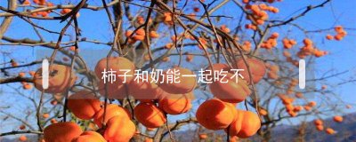 ​柿子和奶能一起吃不