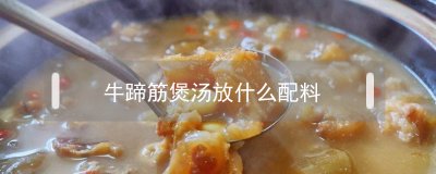 ​牛蹄筋煲汤放什么配料