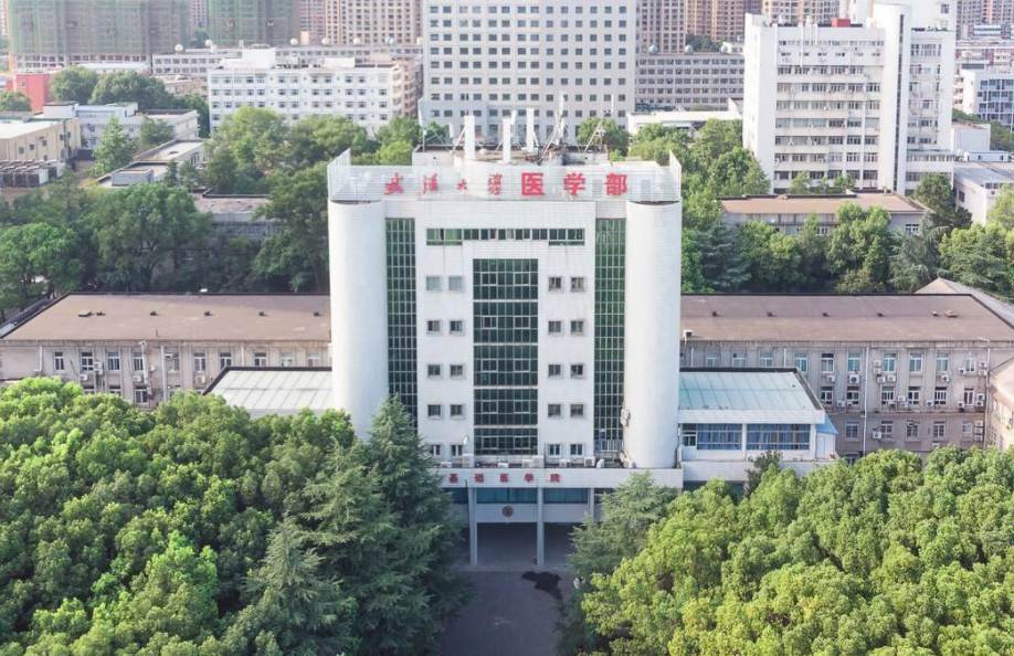 医学院校等级排名（全国医学大学排名一览）(图7)