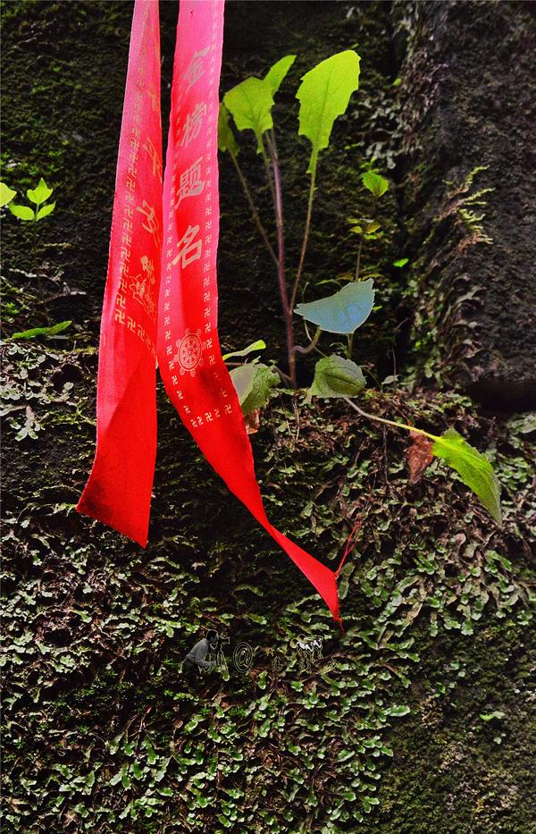 青石山一日游（神龙山上朝圣道）(12)