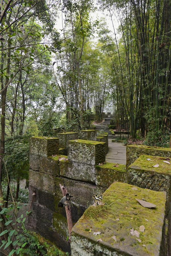 青石山一日游（神龙山上朝圣道）(18)