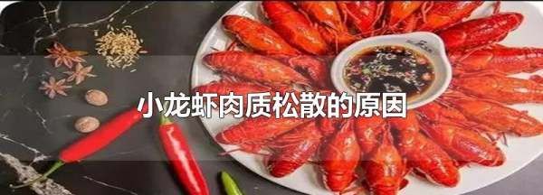 小龙虾煮出来肉散了是什么原因,为什么做的小龙虾肉散了图2