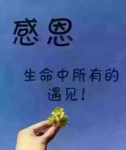 ​感相遇的短句0个字,感恩遇见的简短句子