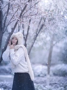 ​如何拍雪景（有什么拍摄技巧）