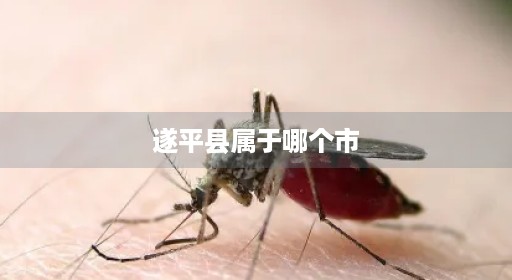 遂平县通告爱心省份个省全图属于哪个乡超市个区那个市高清遂平县哪个市凤鸣四川省街道半岛遂平县