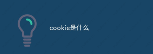 英文单词COOKIEs是什么意思