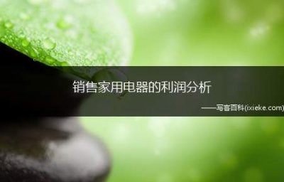 ​销售家用电器的利润分析(家电销售企业成本费用利润率)