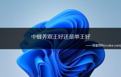 ​中蜂养双王好还是单王好(养殖中蜂双王群需要注意的事项有哪些)