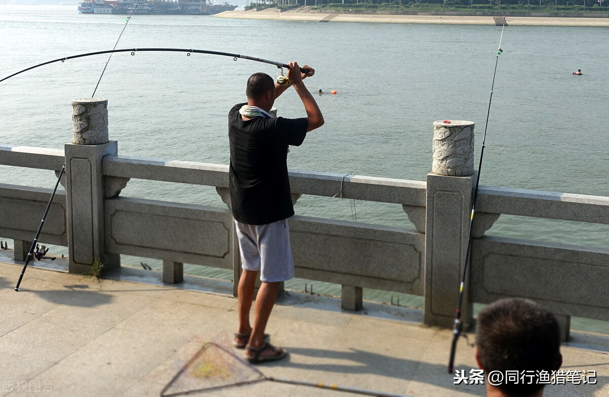 海竿渔轮怎么安装（海杆轮如何装线）(图4)