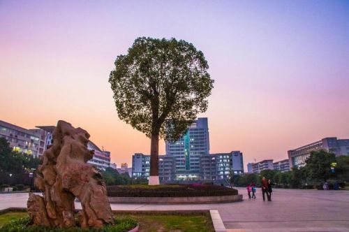 南华大学地址在哪个区？湖南衡阳南华大学地址-第1张图片-