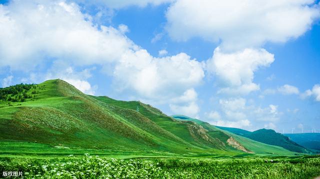 承德坝上草原攻略（承德丰宁坝上草原体验不一样的夏季）(1)