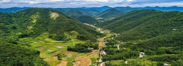 芈月山玫瑰谷自然风景区在哪里,芈月山玫瑰谷是哪个省图3