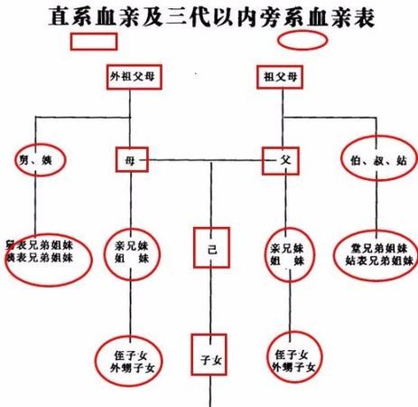 血亲的关系是什么意思