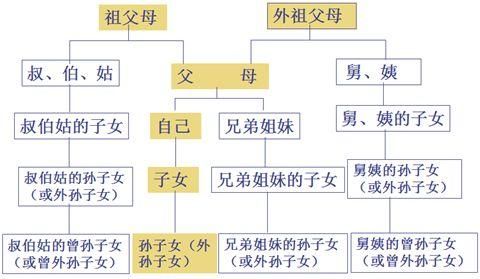 血亲至亲什么意思?