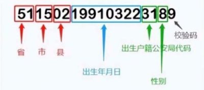 ​奇数是什么偶数又是什么(奇数是什么100以内)