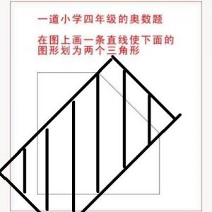 ​四年级奥数题添加一条直线是什么？小学四年级奥数画一条直线