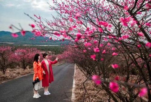 高考后祝福语 前程繁花似锦(高考后祝福语简短4字句)-第2张图片-