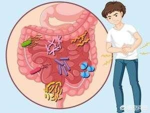 肠胃炎治疗需要多少钱_肠胃炎治疗多久才能恢复正常-第1张图片-