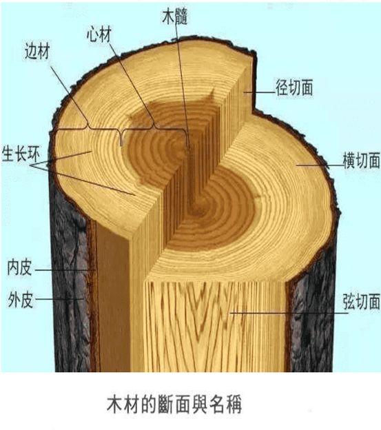 买实木家具注意哪些问题（7个常见问题详解）(图17)