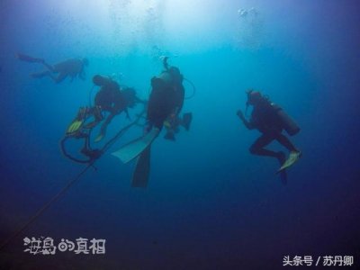 ​一张图看懂加勒比海盗（加勒比海盗中的幽灵船与美人鱼惊现菲律宾深海）