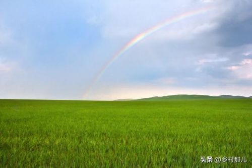 为什么雨后天上挂着彩虹答案二年级下册？为什么雨后天上挂着彩虹答案10字以下-第1张图片-