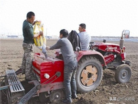 小麦一年可以种几季(小麦一年两熟是哪里)