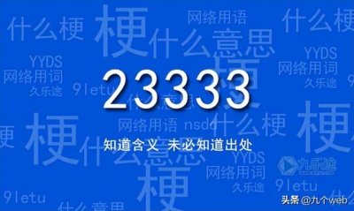 ​233333是什么意思网络语言（233333是什么意思啊）