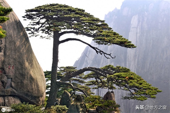 1山抵5山！这座中国名山，为什么如此优秀？