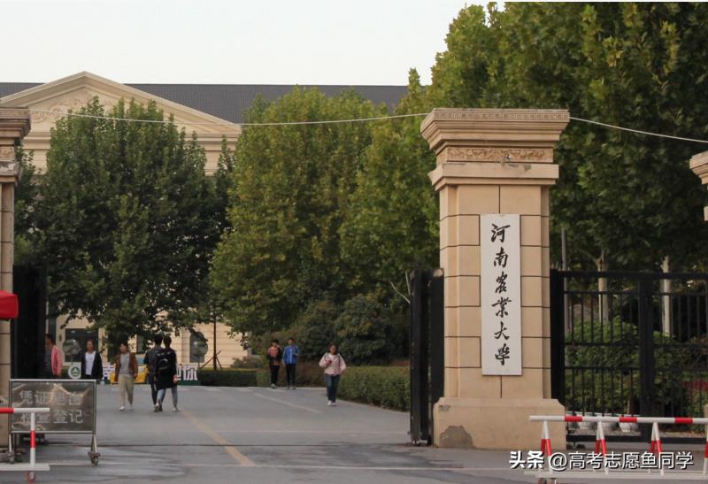 河南理工大学是一本还是二本(河南省7所一本双非大学实力强)