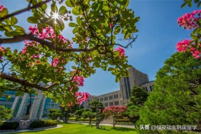 ​东国大学怎么样（韩国留学之东国大学有多好？）