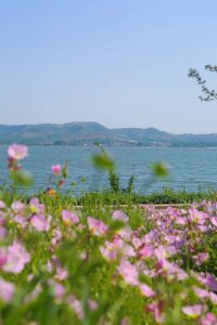 ​济宁周边好玩的旅游景点推荐（山东旅游必去十大景点）