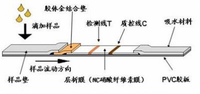 ​早早孕试纸准吗（早早孕试纸的结果准确吗?）