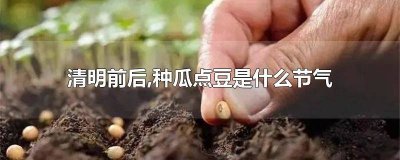 ​清明前后,种瓜点豆是什么节气种的 清明节种瓜点豆是什么节气