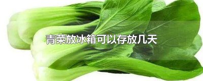 ​煮过的青菜放冰箱能放多久不坏 煮过的青菜放冰箱能放多久时间