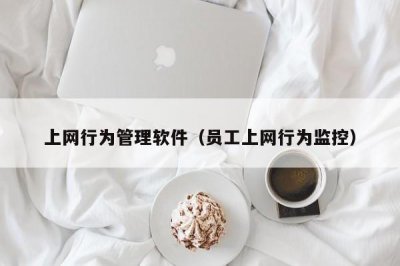 ​上网行为管理软件（员工上网行为监控）