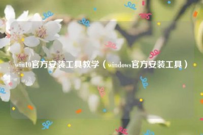 ​win10官方安装工具教学（windows官方安装工具）