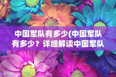 ​中国军队有多少(中国军队有多少？详细解读中国军队的规模和构成)