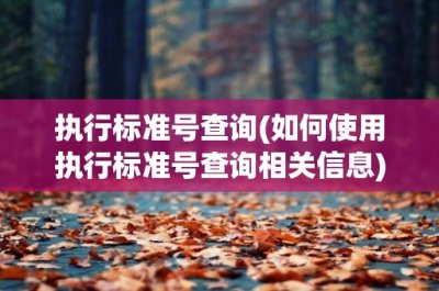 ​执行标准号查询(如何使用执行标准号查询相关信息)