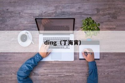 ​ding（丁海寅）