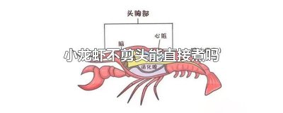 ​小龙虾可以直接把头剪掉吗图片 小龙虾需要把头剪掉吗