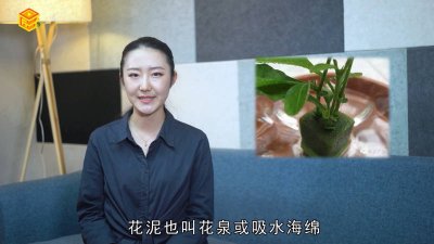 ​花泥可以用来做什么 用过的花泥有什么用