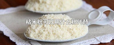 ​粘米粉可以代替米粉吗 粘粉可以用面粉代替吗