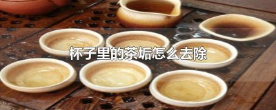 ​如何去除不锈钢杯子里的茶垢 怎么去掉不锈钢杯子里的茶垢