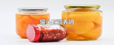 ​生蚝罐头有营养吗能吃吗 生蚝罐头有营养吗百度百科