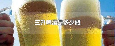 ​三升有多少瓶啤酒 三升是几瓶啤酒