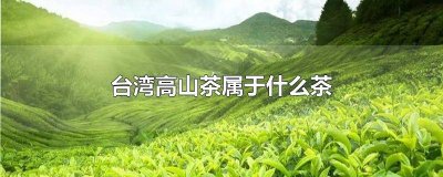 ​台湾高山茶属于什么茶怎么泡 台湾高山茶属于什么茶和苦丁茶