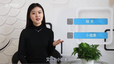 ​世界上哪儿大象最小代表什么数字「世界上哪儿大象最小的[阴险]」