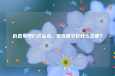 ​前置后驱的优缺点，前置后驱是什么意思？