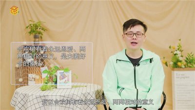 ​合欢树长什么样?合欢树的象征意义是什么 合欢树寓意